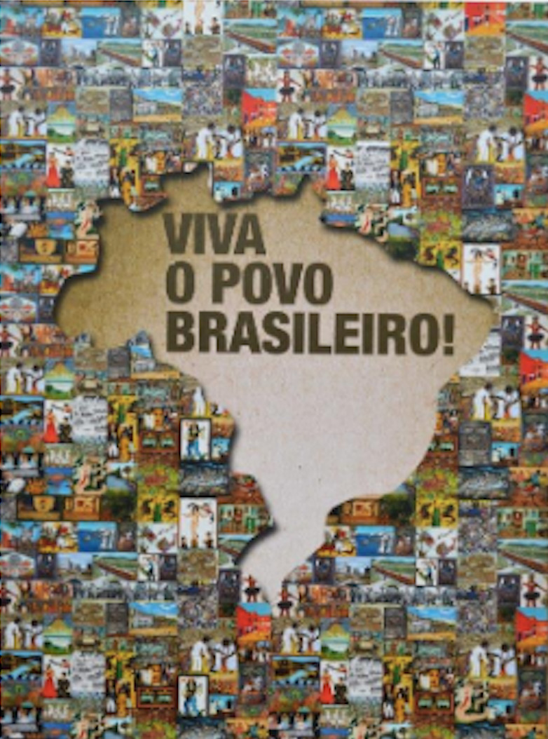 livro viva o povo brasileiro
